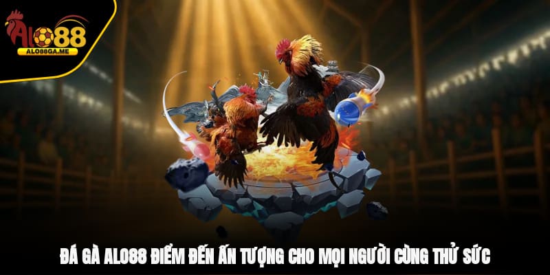 Đá gà ALO88 điểm đến ấn tượng cho mọi người cùng thử sức