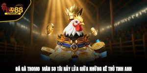 Đá Gà Thomo - Màn So Tài Nảy Lửa Giữa Những Kê Thủ Tinh Anh