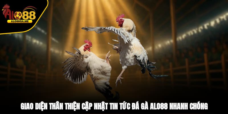 Giao diện thân thiện, cập nhật tin tức đá gà ALO88 nhanh chóng