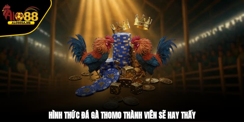 Hình thức đá gà Thomo thành viên sẽ hay thấy