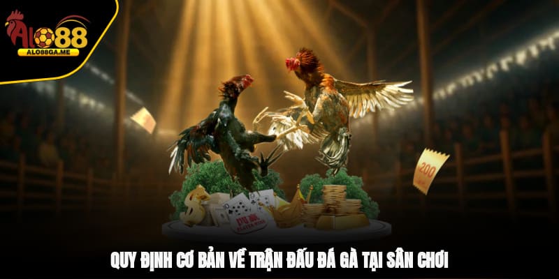 Quy định cơ bản về trận đấu đá gà tại sân chơi