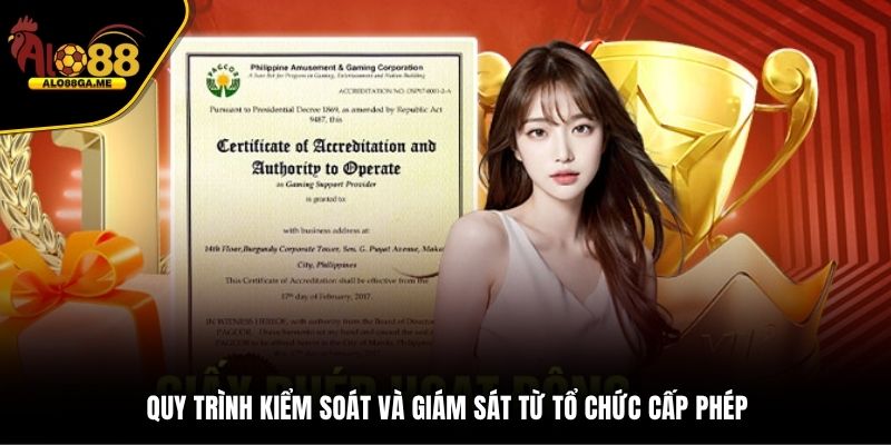 Quy trình kiểm soát và giám sát từ tổ chức cấp phép