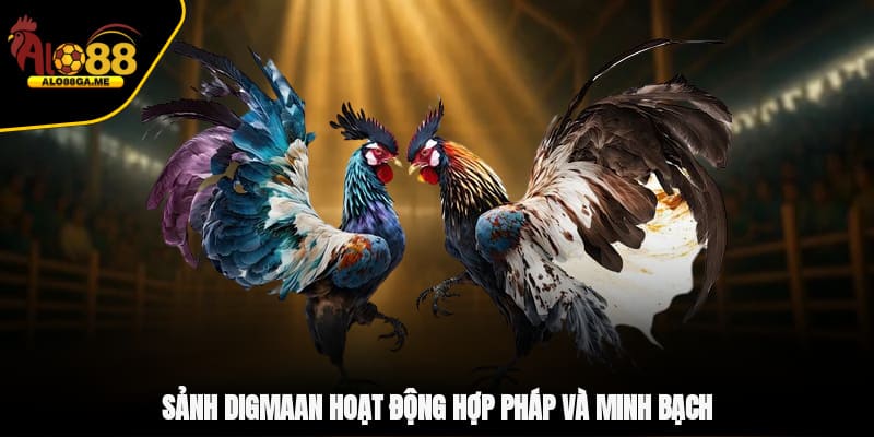 Sảnh DIGMAAN hoạt động hợp pháp và minh bạch