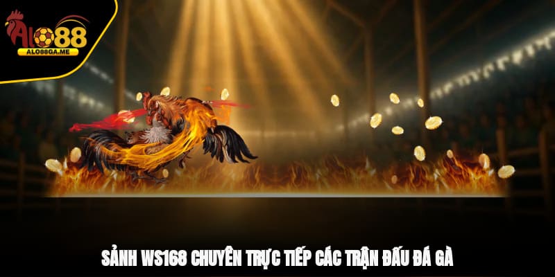 Sảnh WS168 chuyên trực tiếp các trận đấu đá gà