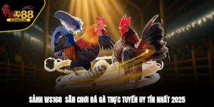 Sảnh WS168 - Sân Chơi Đá Gà Trực Tuyến Uy Tín Nhất 2025
