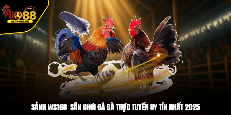 Sảnh WS168 - Sân Chơi Đá Gà Trực Tuyến Uy Tín Nhất 2025